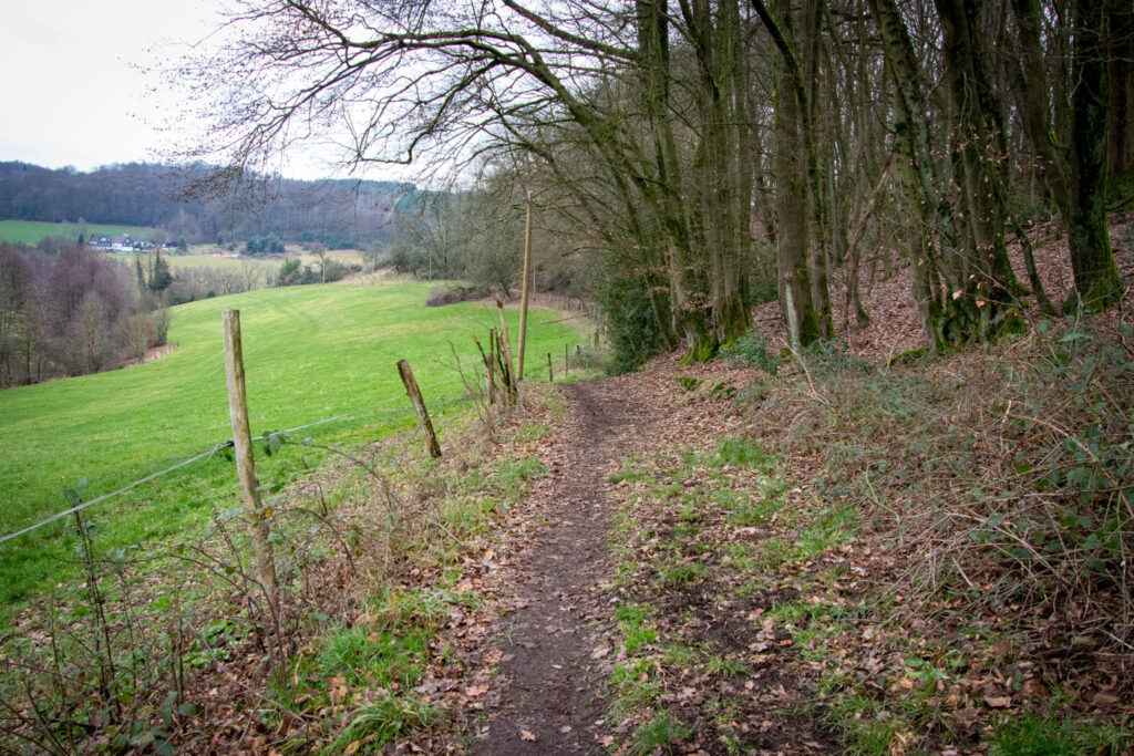 Wanderung von Kürten Delling nach Ommerborn