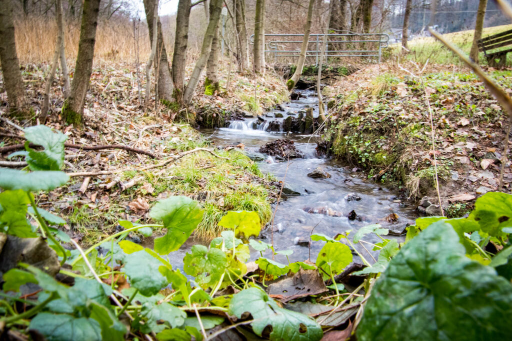 Wanderung von Kürten Delling nach Ommerborn