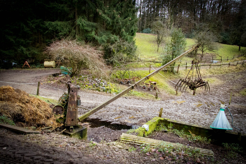 Wanderung von Kürten Delling nach Ommerborn