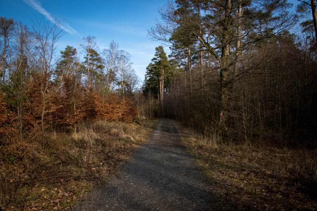 Wandern rund um die Neyetalsperre