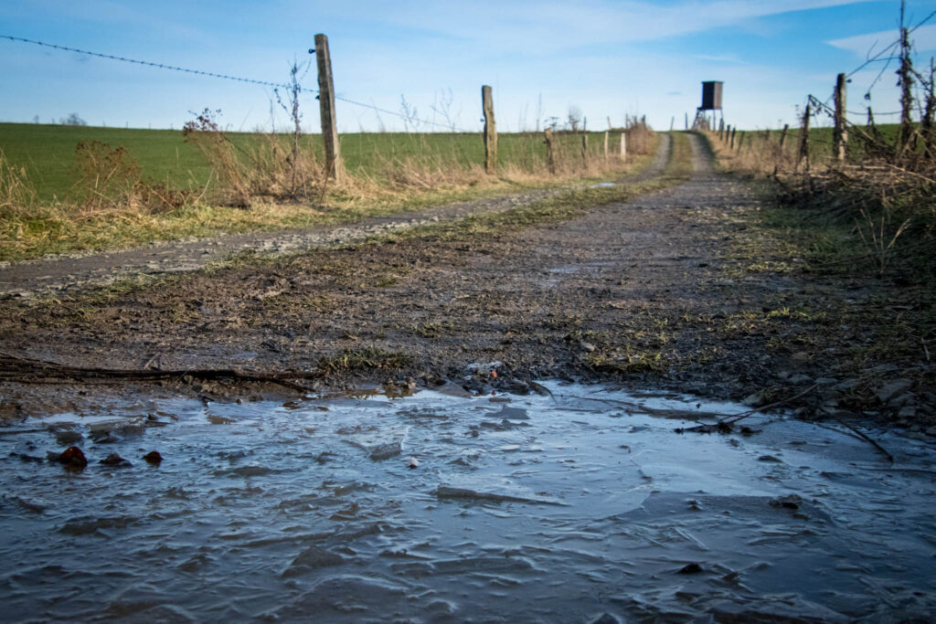 Wandern rund um die Neyetalsperre