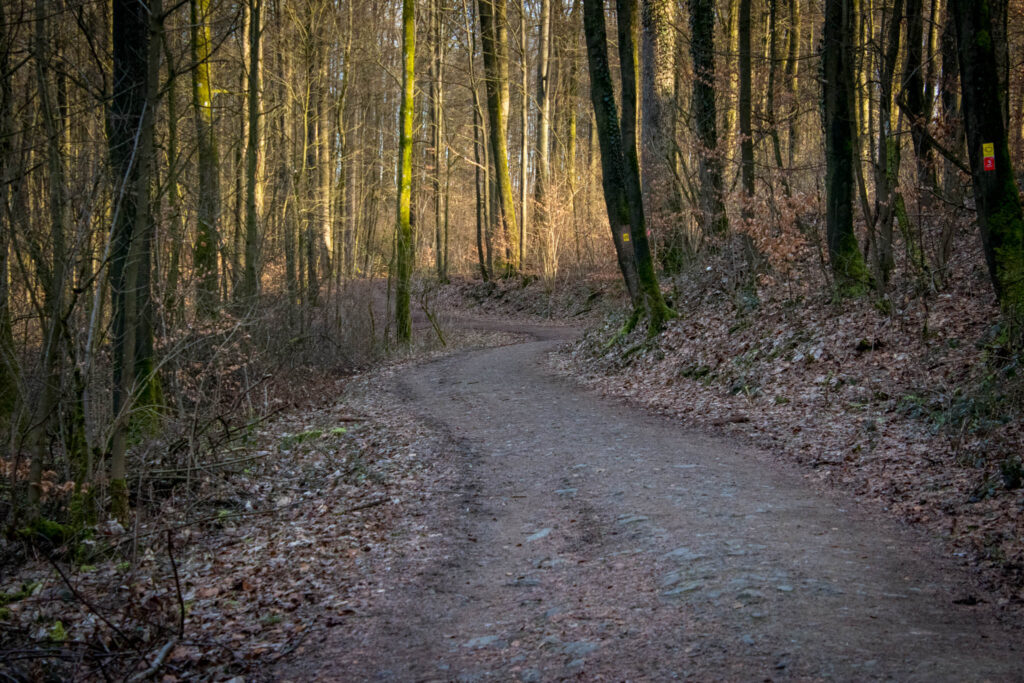 Wandern rund um die Neyetalsperre