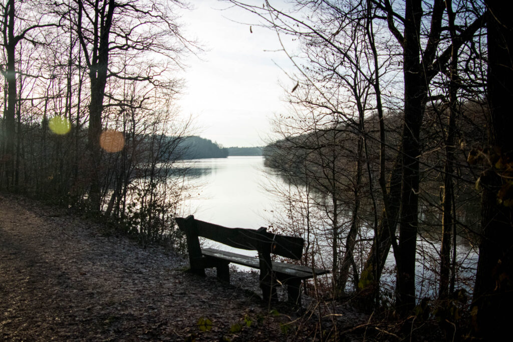 Wandern rund um die Neyetalsperre