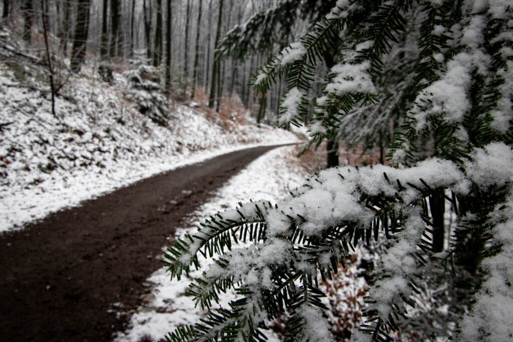 Winterwanderung von Solingen Glüder über die Sengbachtalsperre und den Diederichstempel nach Schloss Burg