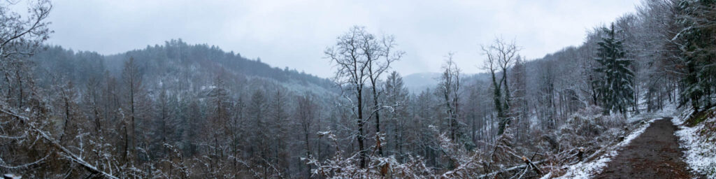 Winterwanderung von Solingen Glüder über die Sengbachtalsperre und den Diederichstempel nach Schloss Burg