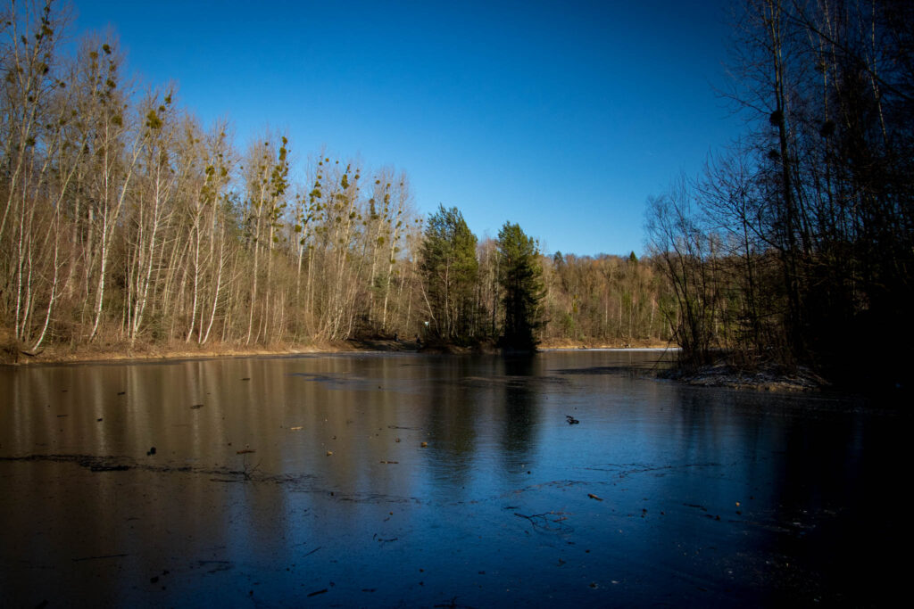 Wandern zwischen Bergisch Gladbach und Bensberg - Gruben und Schlösser