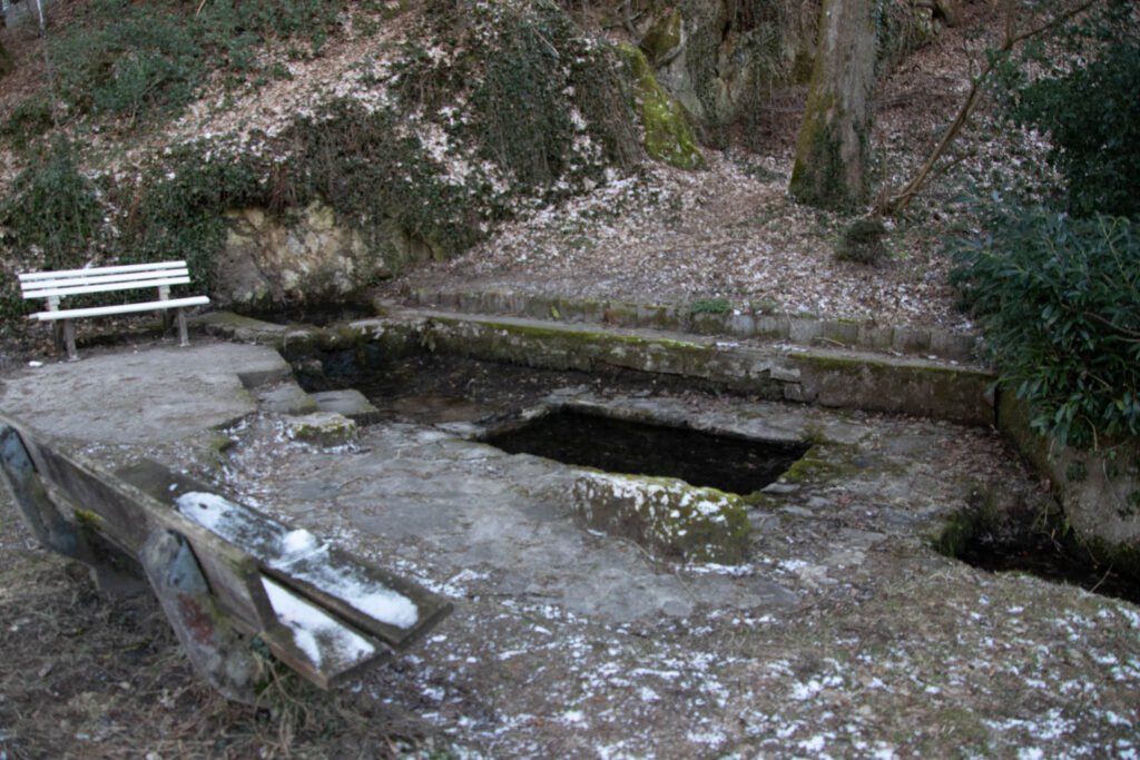 Wandern zwischen Bergisch Gladbach und Bensberg - Gruben und Schlösser