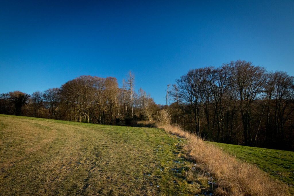 Wandern zwischen Bergisch Gladbach und Bensberg - Gruben und Schlösser