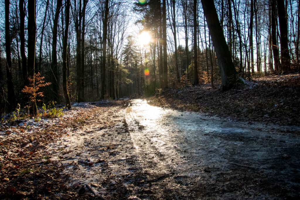 Wandern zwischen Bergisch Gladbach und Bensberg - Gruben und Schlösser