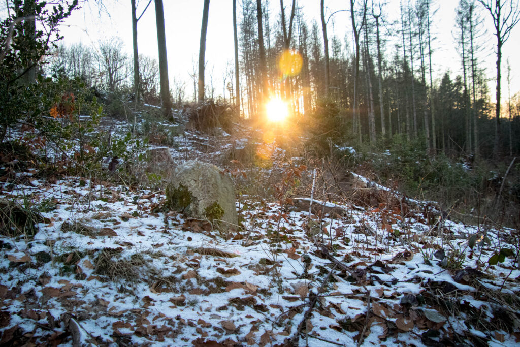 Wandern zwischen Bergisch Gladbach und Bensberg - Gruben und Schlösser