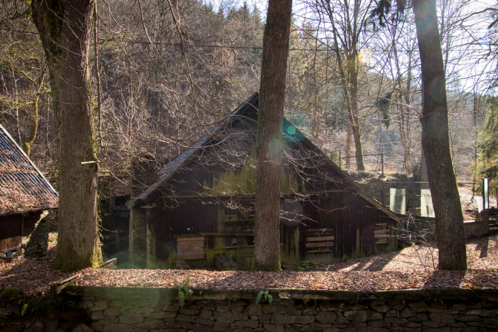 Wanderung von Schloss Burg zur Müngstener Brücke