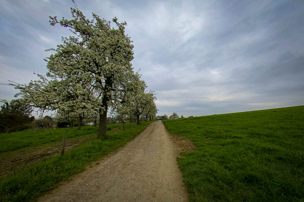 Leichlinger Obstweg | Wildgehege Altenhof | Schmerbachtal