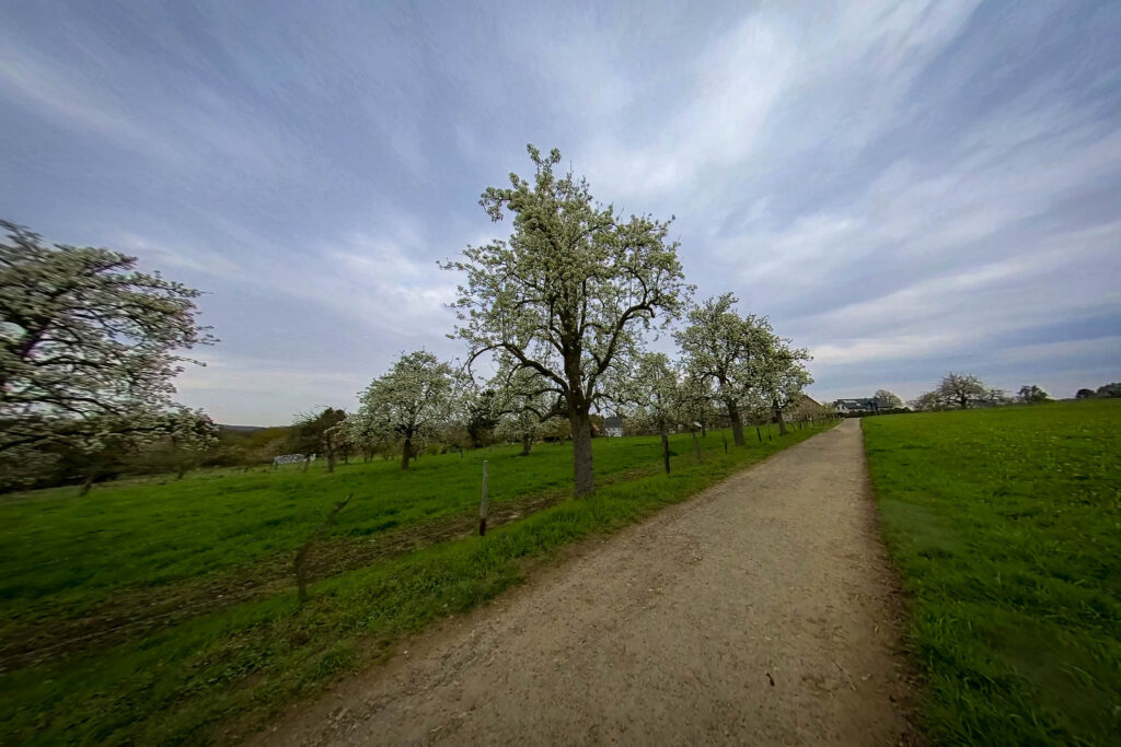 Leichlinger Obstweg | Wildgehege Altenhof | Schmerbachtal