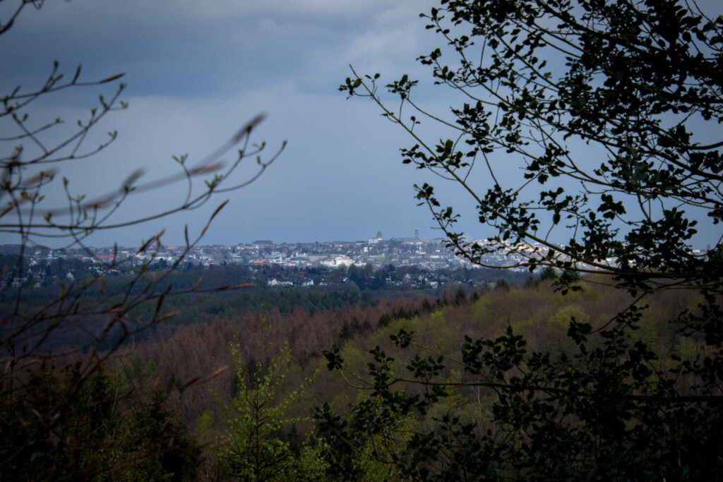 Wanderung von Witzhelden aus rund um die Sengbachtalsperre nach Schloss Burg