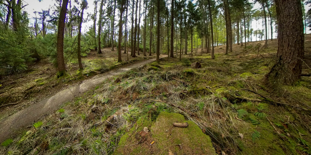 Wanderung von Witzhelden aus rund um die Sengbachtalsperre nach Schloss Burg