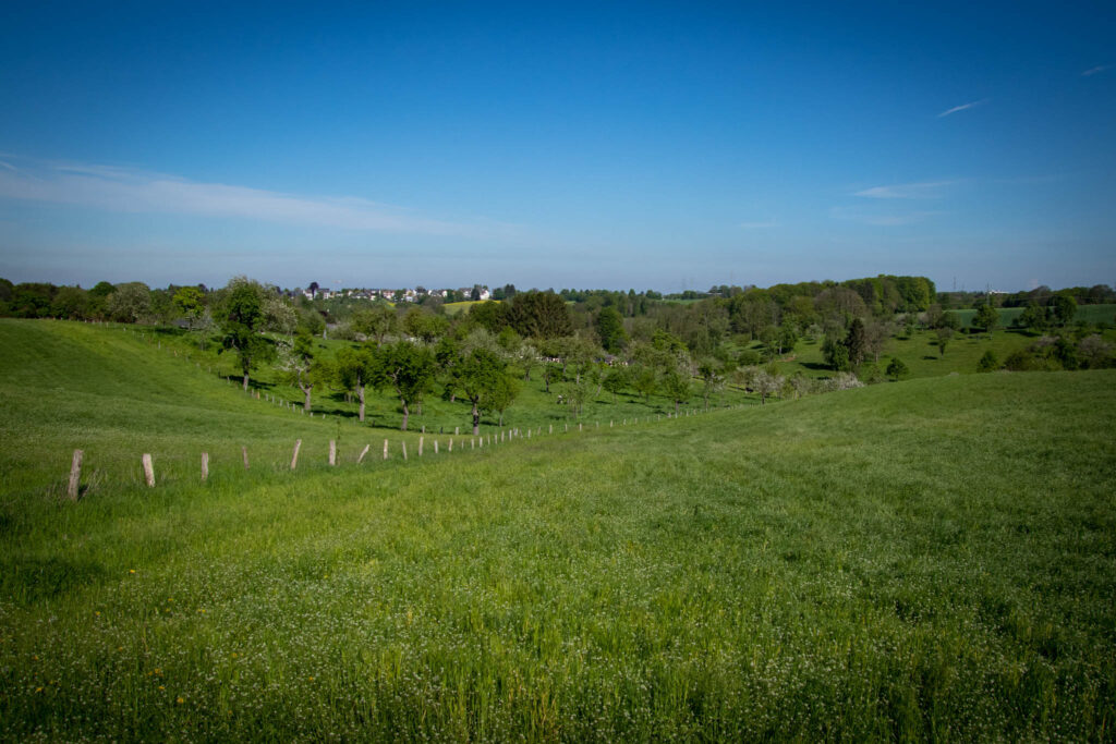 Wandern auf dem Obstweg Leverkusen