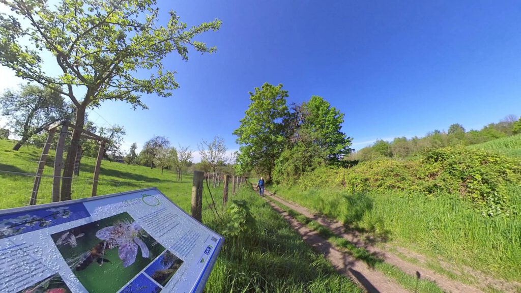 Wandern auf dem Obstweg Leverkusen - Streuobstwiese bei Claashäuschen