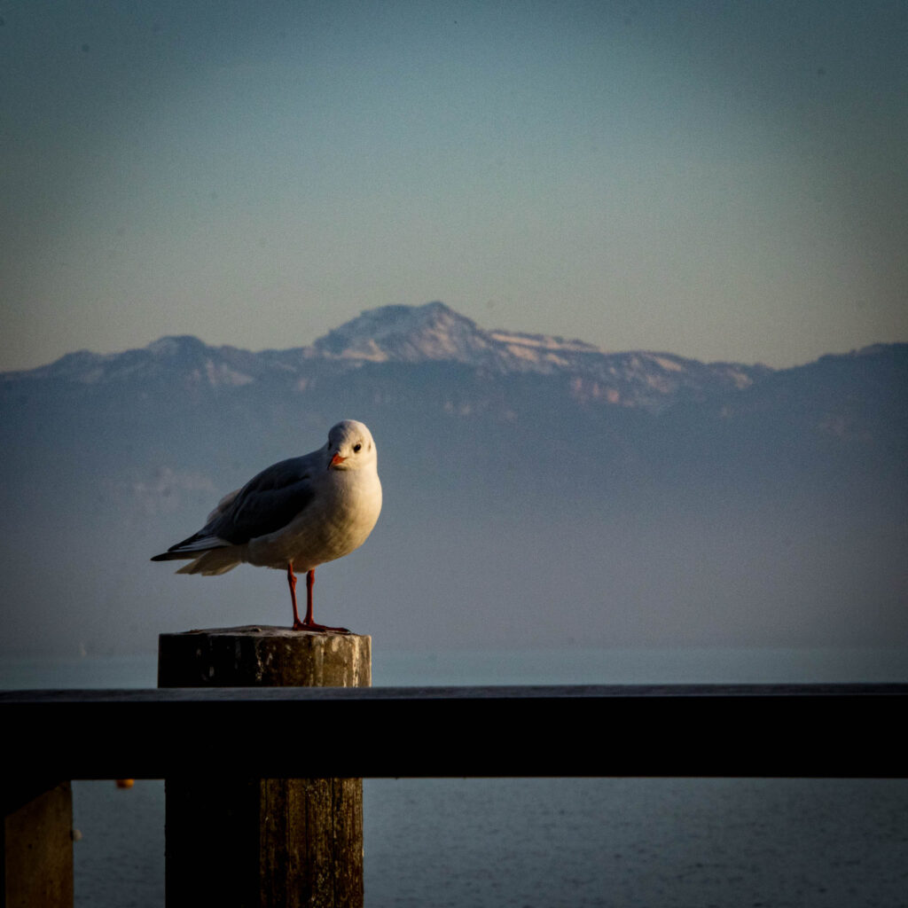 Familienurlaub am Bodensee