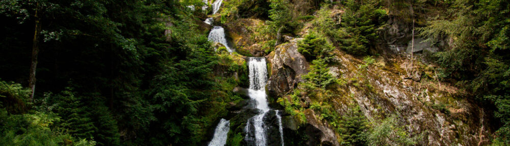 Triberger Wasserfälle und Greifvogelschau