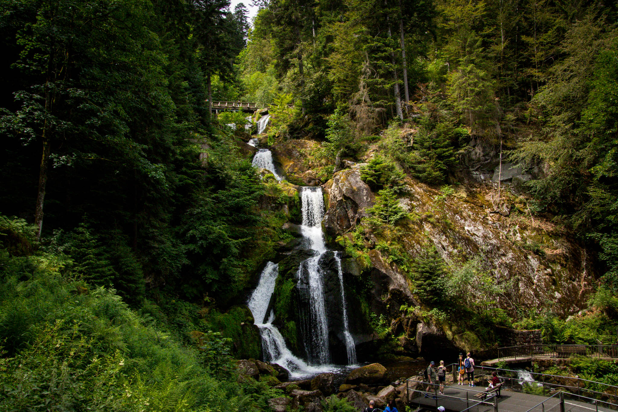 Triberger Wasserfälle und Greifvogelschau