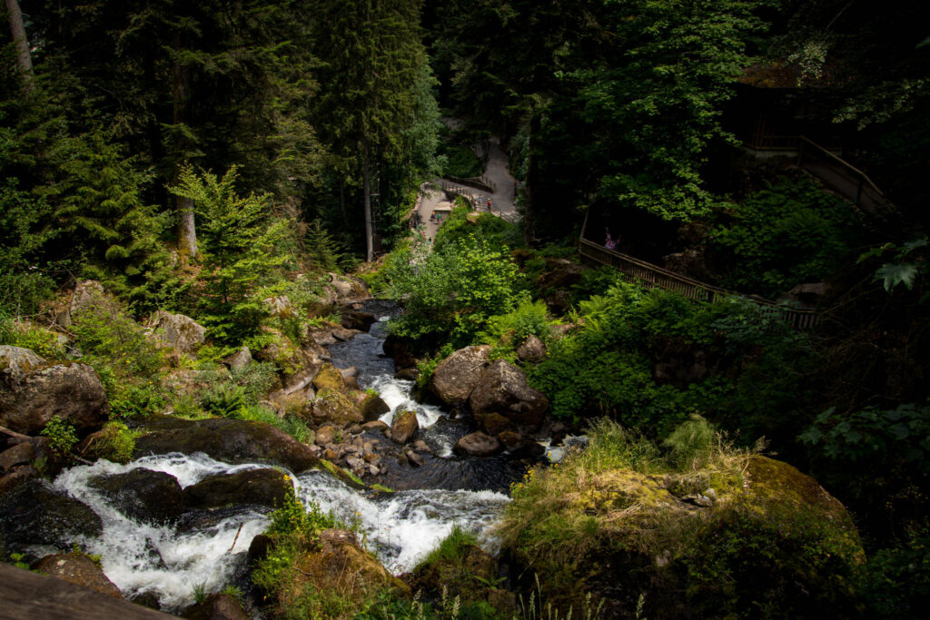 Triberger Wasserfälle und Greifvogelschau