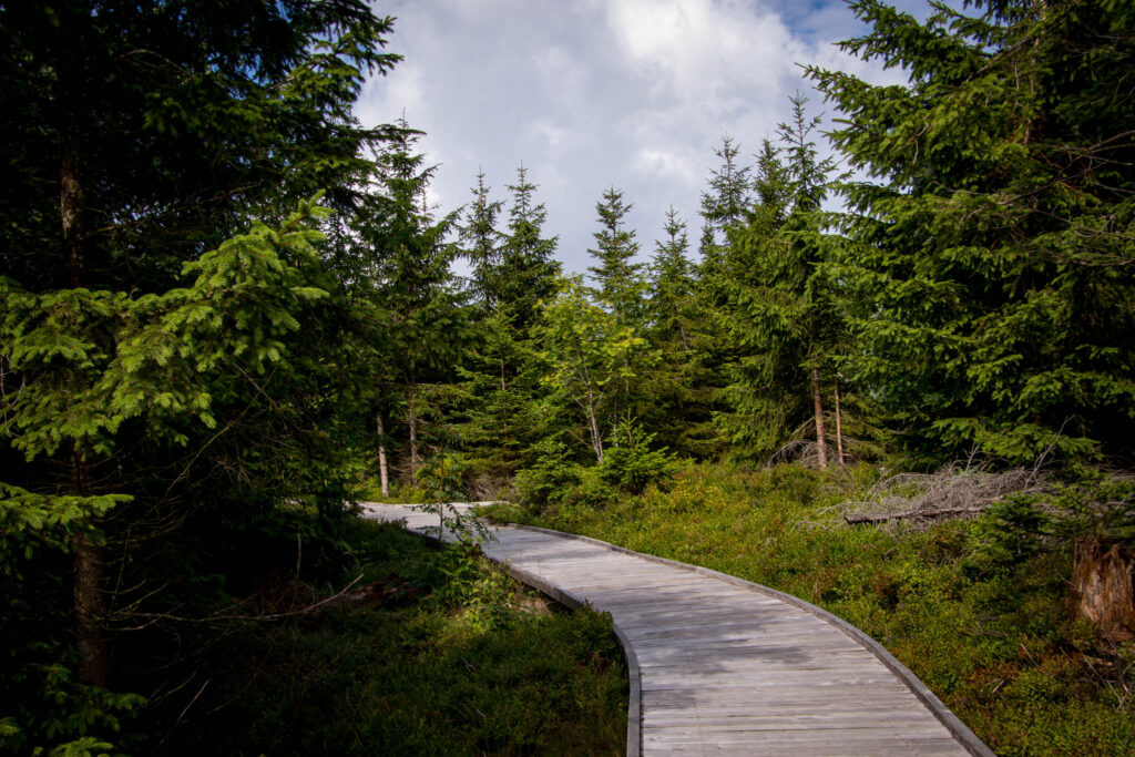 Lotharpfad und Panoramaweg