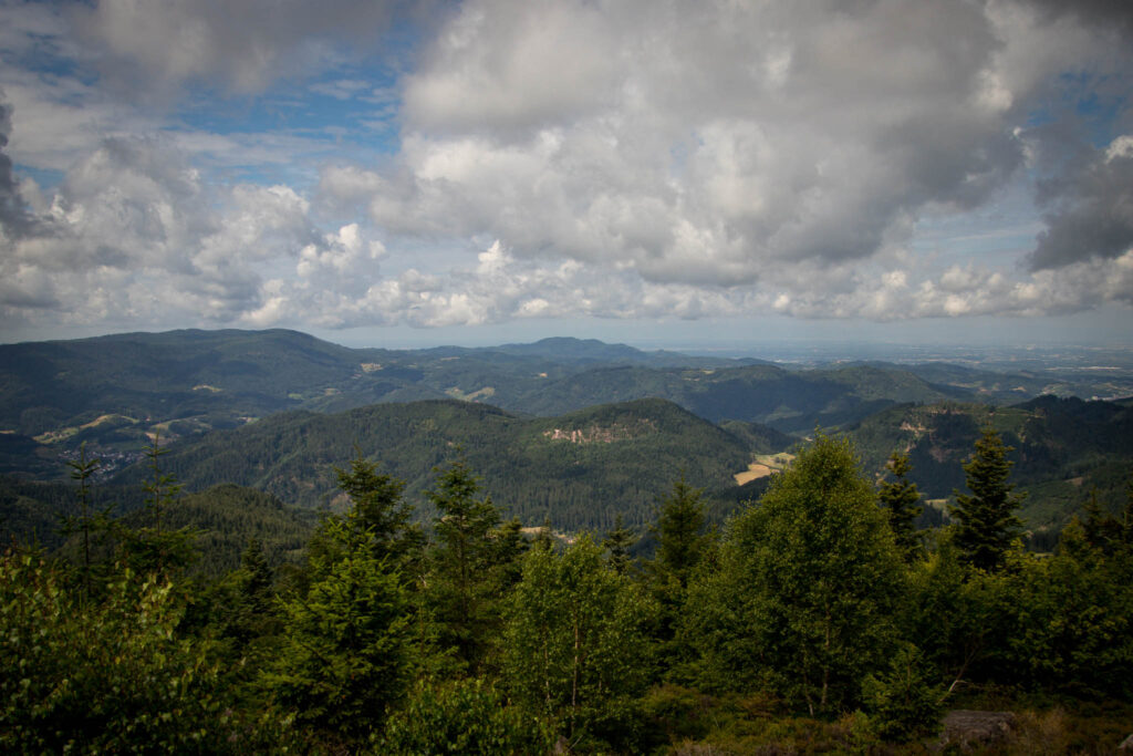 Lotharpfad und Panoramaweg