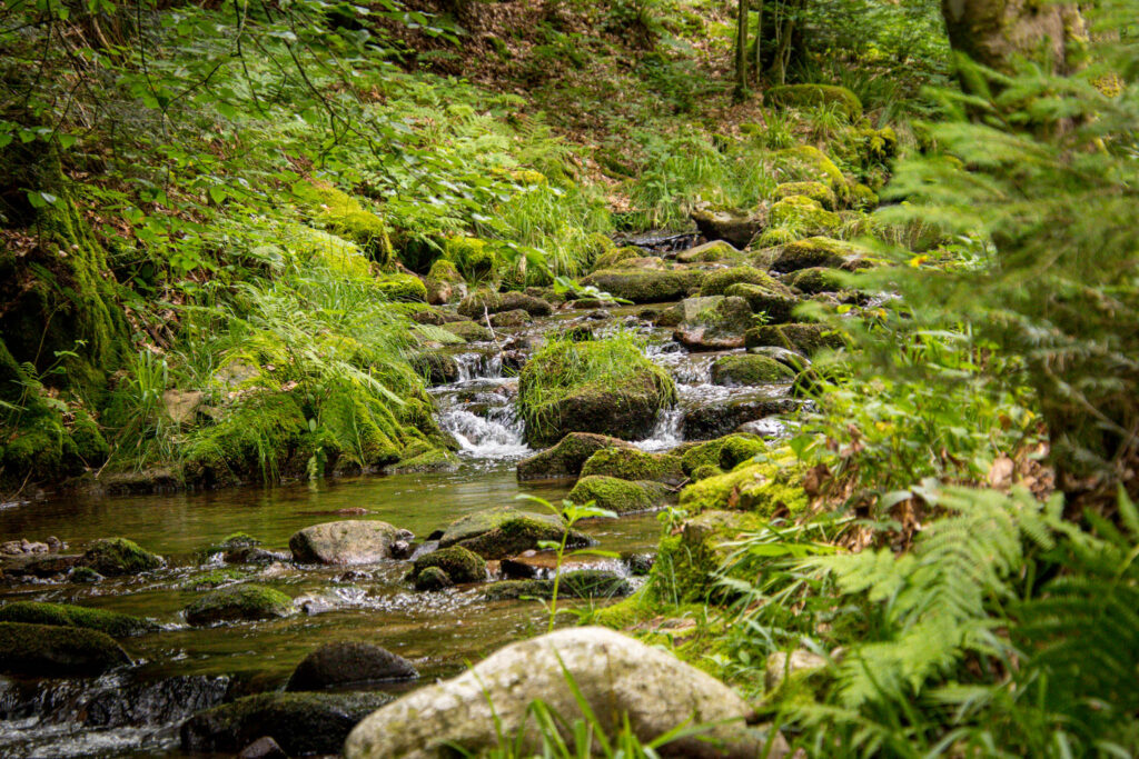 Lierbach vor den Allerheiligen Wasserfällen