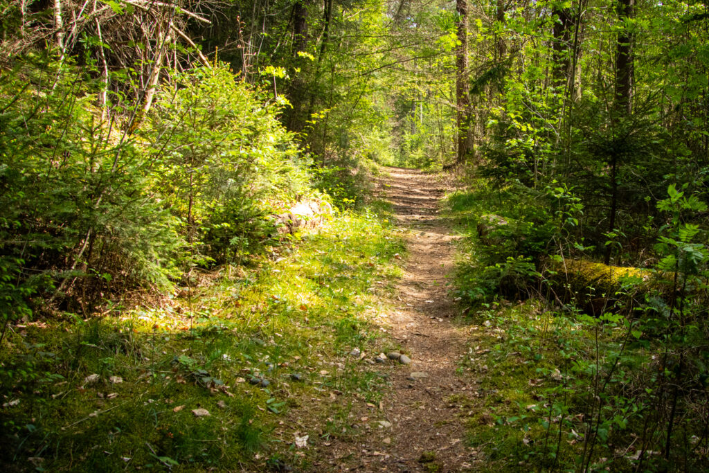 Wanderung auf der EifelSchleife Kuttenbachtal zwischen Kall und Urft