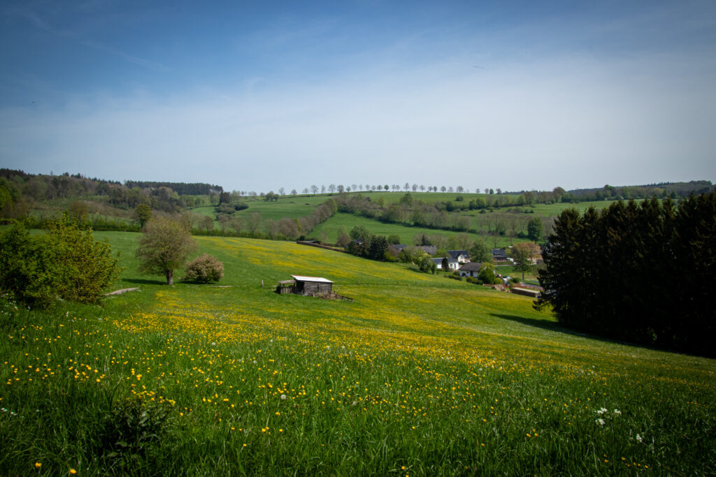 Wanderung auf der EifelSchleife Kuttenbachtal zwischen Kall und Urft