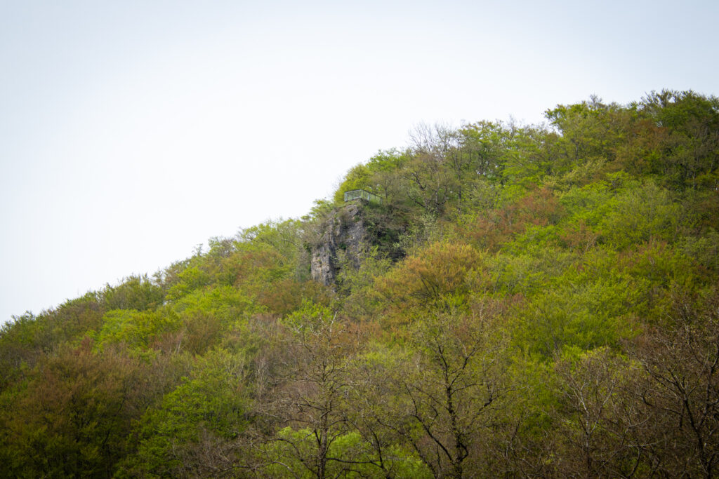 Wanderung auf der EifelSchleife Kuttenbachtal zwischen Kall und Urft