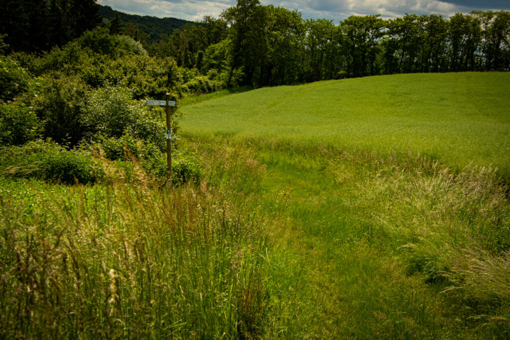 Wandern auf dem Traumpfädchen Löfer Rabenlaypfad