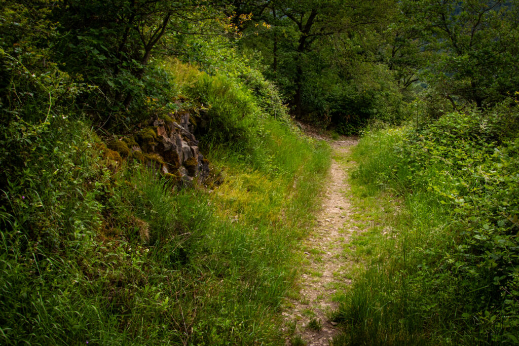 Wandern auf dem Traumpfädchen Löfer Rabenlaypfad