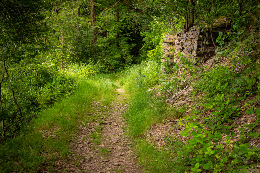 Wandern auf dem Traumpfädchen Löfer Rabenlaypfad