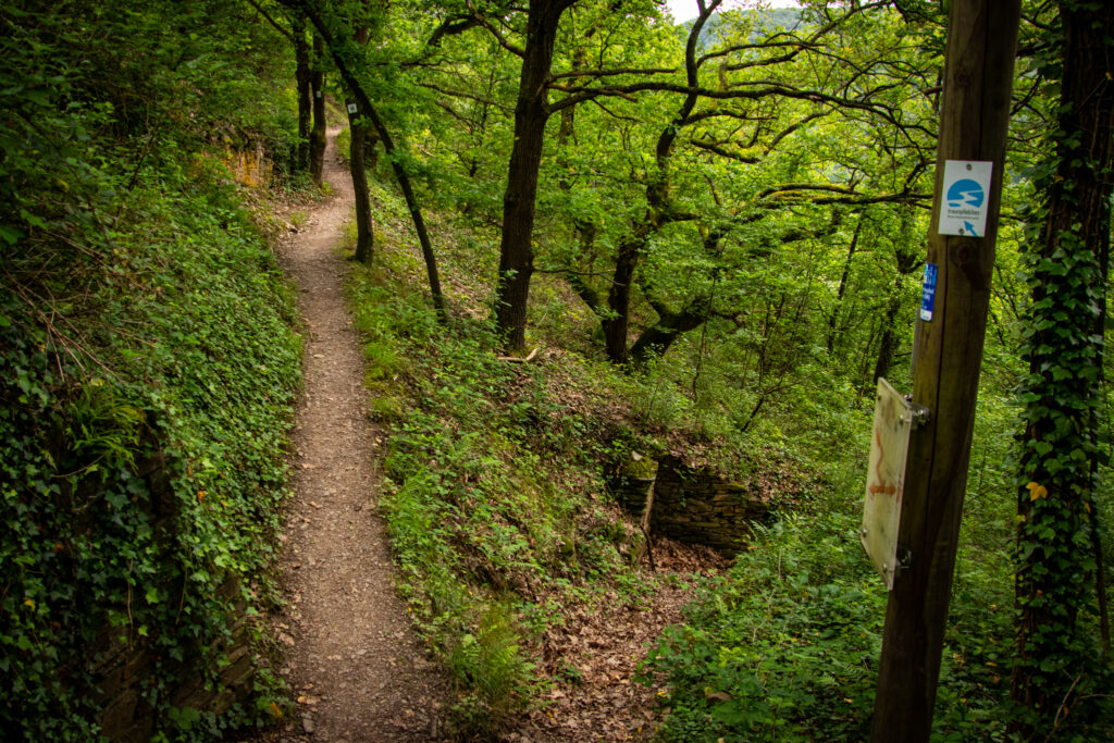 Wandern auf dem Traumpfädchen Löfer Rabenlaypfad