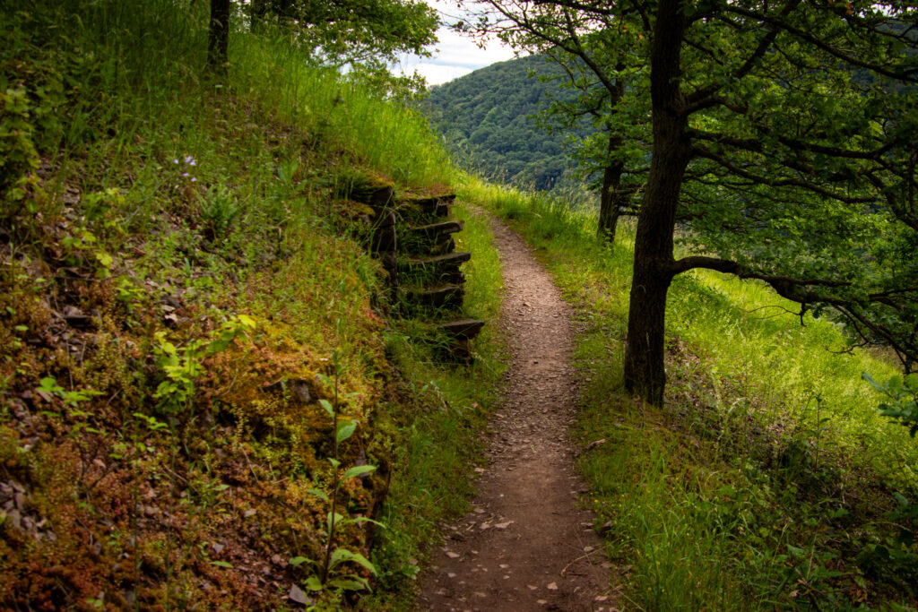 Wandern auf dem Traumpfädchen Löfer Rabenlaypfad