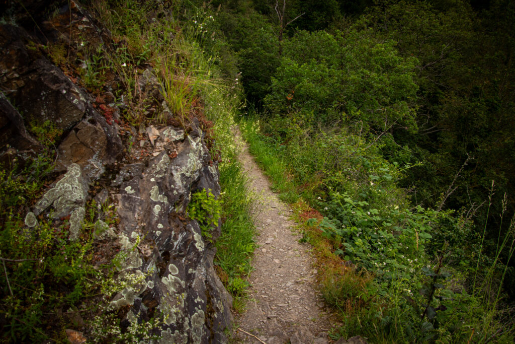 Wandern auf dem Traumpfädchen Löfer Rabenlaypfad