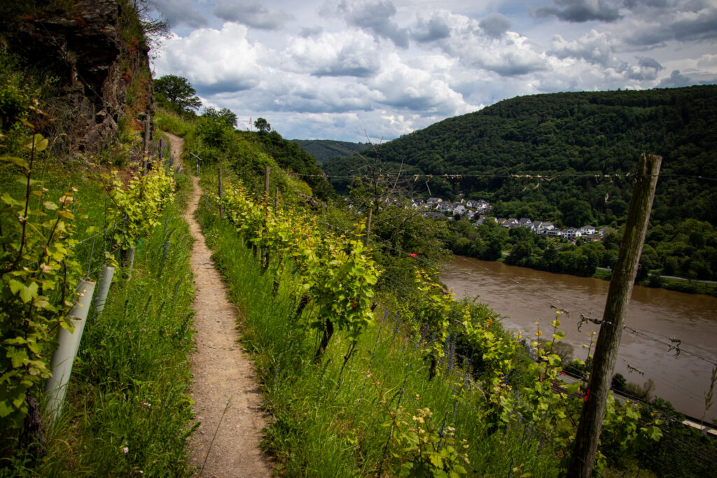 Wandern auf dem Traumpfädchen Löfer Rabenlaypfad